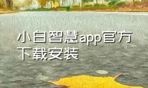 小白智慧app官方下载安装