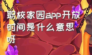 职校家园app开放时间是什么意思呀