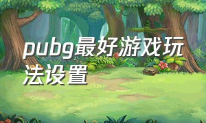 pubg最好游戏玩法设置