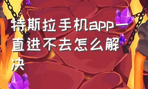 特斯拉手机app一直进不去怎么解决