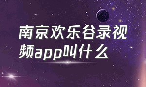 南京欢乐谷录视频app叫什么