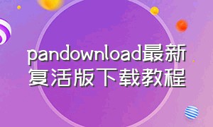 pandownload最新复活版下载教程