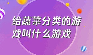 给蔬菜分类的游戏叫什么游戏