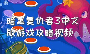 暗黑复仇者3中文版游戏攻略视频