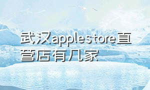 武汉applestore直营店有几家