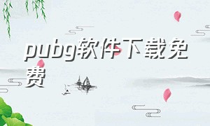 pubg软件下载免费