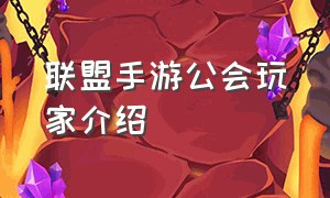 联盟手游公会玩家介绍