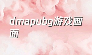 dmapubg游戏画面