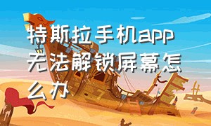 特斯拉手机app 无法解锁屏幕怎么办