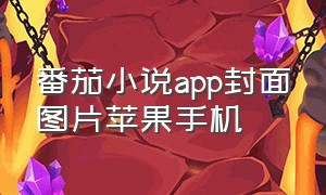 番茄小说app封面图片苹果手机