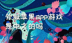 外服苹果app游戏是中文的吗