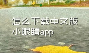 怎么下载中文版小眼睛app