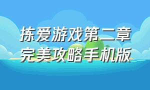 拣爱游戏第二章完美攻略手机版