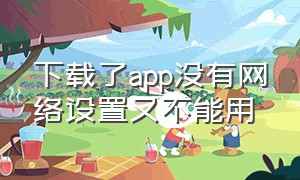 下载了app没有网络设置又不能用