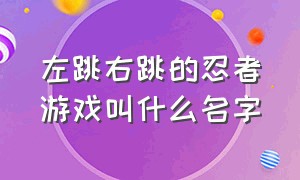 左跳右跳的忍者游戏叫什么名字