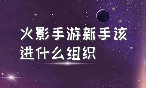 火影手游新手该进什么组织