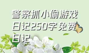 警察抓小偷游戏日记250字免费日记