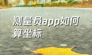 测量员app如何算坐标