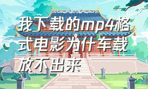 我下载的mp4格式电影为什车载放不出来