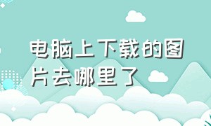 电脑上下载的图片去哪里了