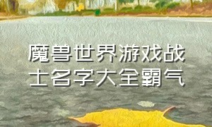 魔兽世界游戏战士名字大全霸气