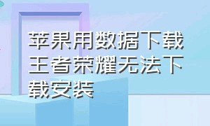 苹果用数据下载王者荣耀无法下载安装