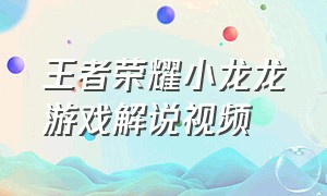 王者荣耀小龙龙游戏解说视频