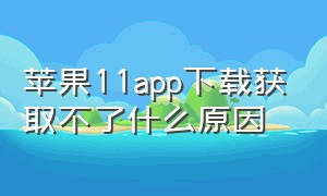 苹果11app下载获取不了什么原因