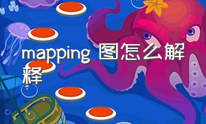 mapping 图怎么解释