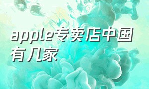 apple专卖店中国有几家