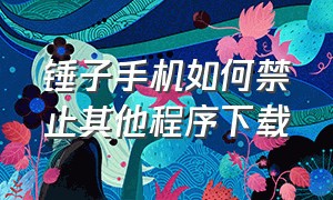 锤子手机如何禁止其他程序下载