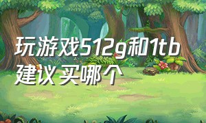 玩游戏512g和1tb建议买哪个