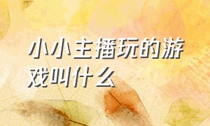 小小主播玩的游戏叫什么