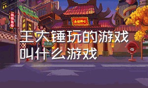 王大锤玩的游戏叫什么游戏