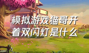 模拟游戏猫哥开着双闪灯是什么