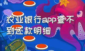 农业银行app查不到还款明细