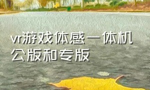 vr游戏体感一体机公版和专版