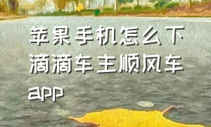 苹果手机怎么下滴滴车主顺风车app