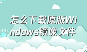 怎么下载原版Windows镜像文件