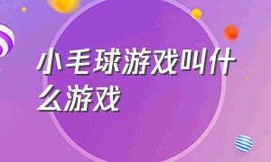 小毛球游戏叫什么游戏