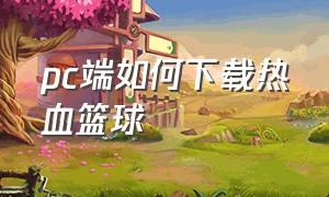 pc端如何下载热血篮球