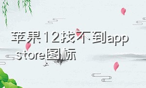 苹果12找不到app store图标