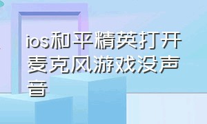 ios和平精英打开麦克风游戏没声音