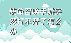 使命召唤手游突然打不开了怎么办