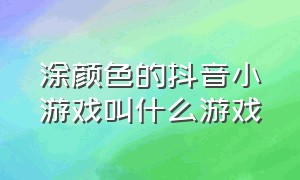 涂颜色的抖音小游戏叫什么游戏