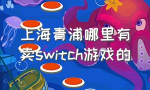 上海青浦哪里有卖switch游戏的