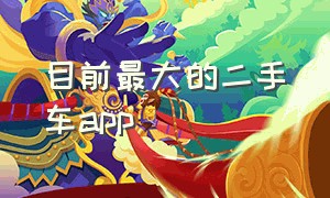 目前最大的二手车app