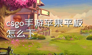 csgo手游苹果平板怎么下