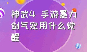 神武4 手游暴力剑气宠用什么觉醒