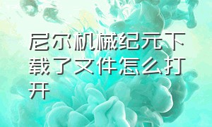 尼尔机械纪元下载了文件怎么打开